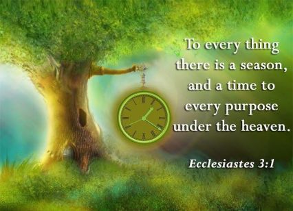 7426140da5456abeaf7d7c5ac282ca30